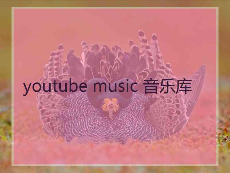 youtube music 音乐库