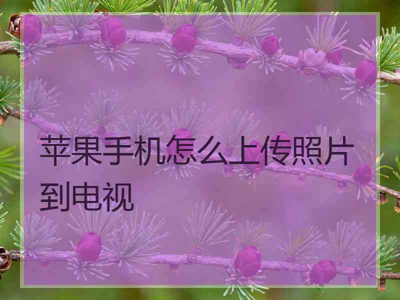 苹果手机怎么上传照片到电视