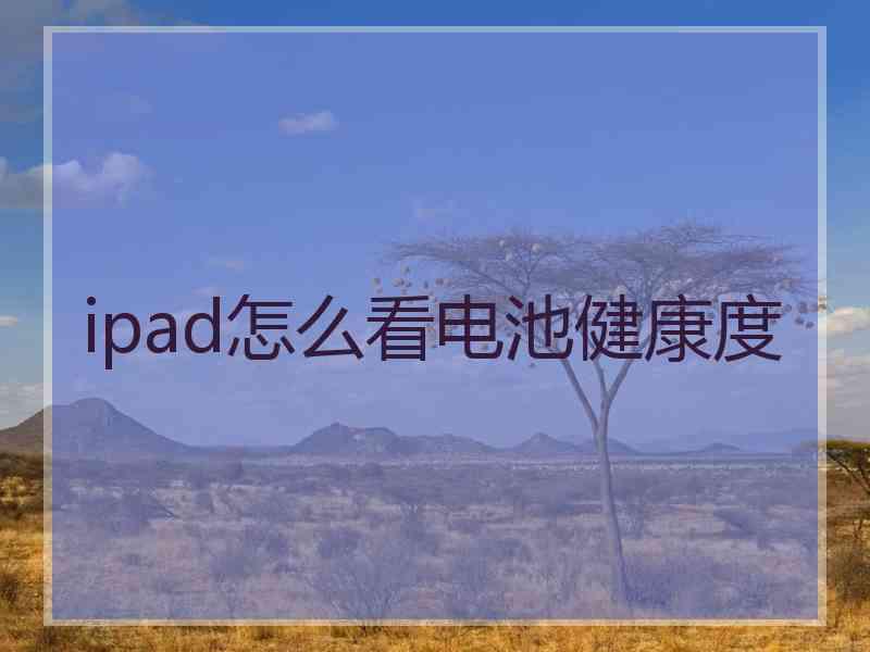 ipad怎么看电池健康度