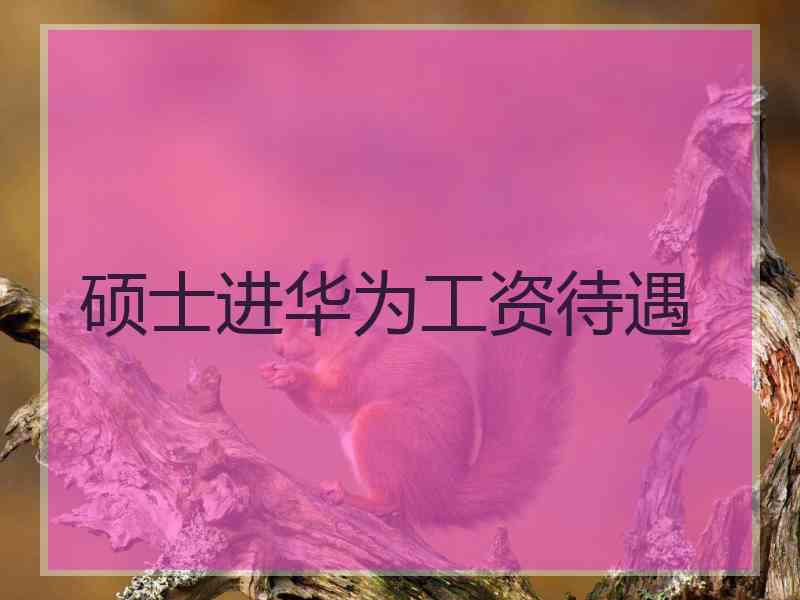 硕士进华为工资待遇