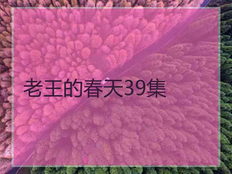 老王的春天39集