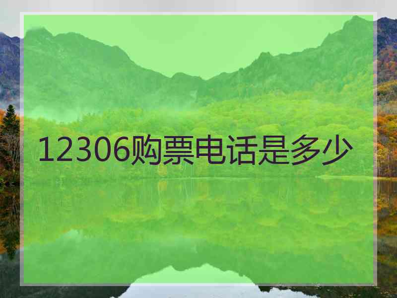 12306购票电话是多少