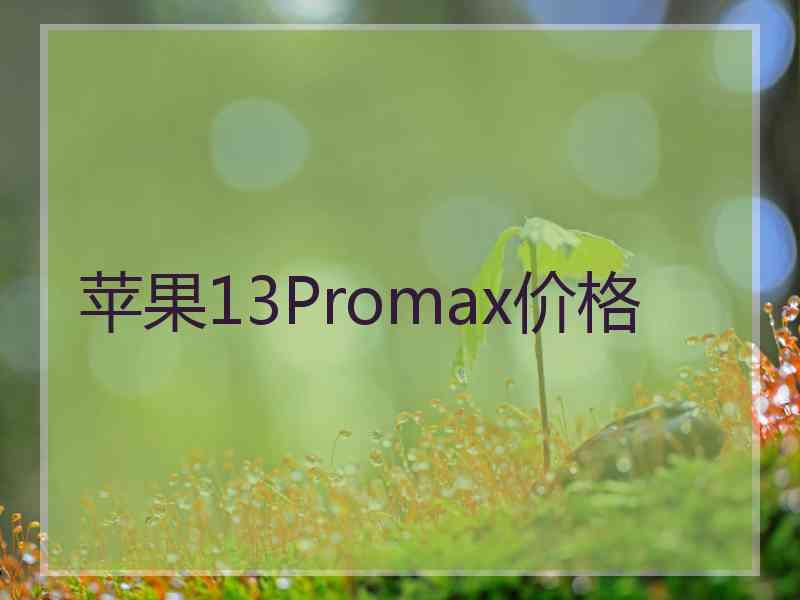 苹果13Promax价格