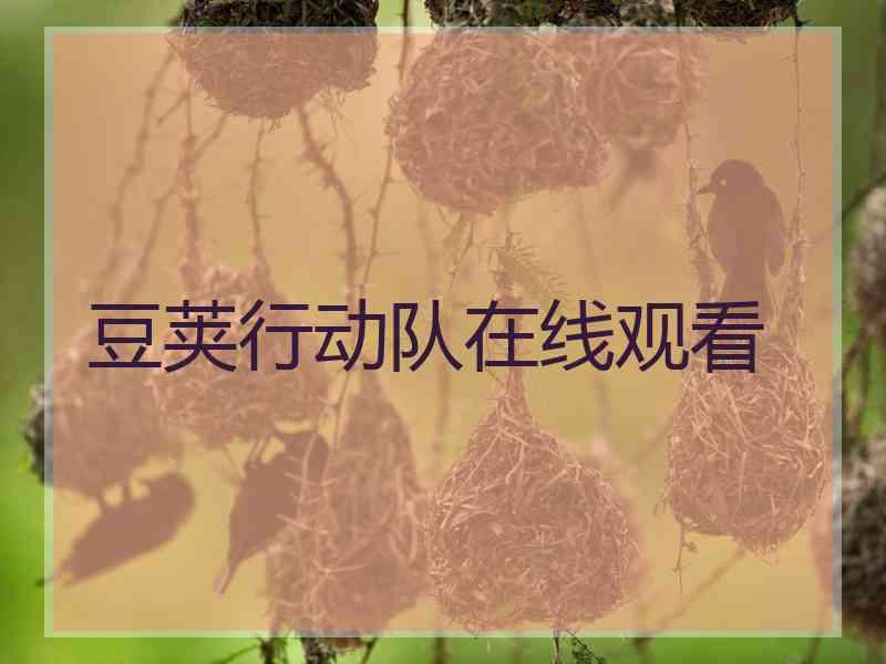 豆荚行动队在线观看