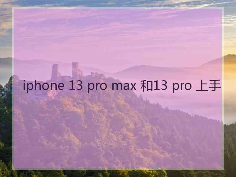 iphone 13 pro max 和13 pro 上手