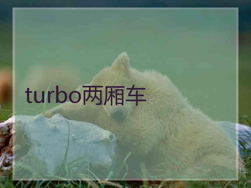 turbo两厢车