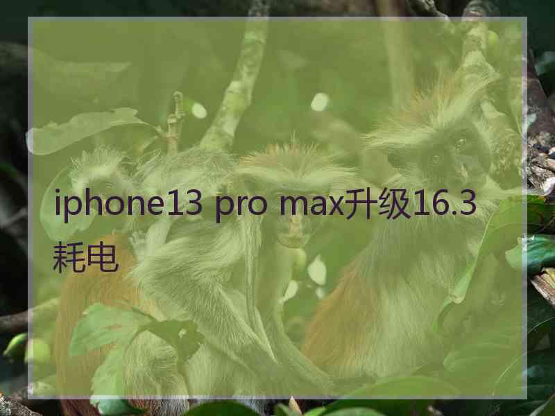 iphone13 pro max升级16.3耗电