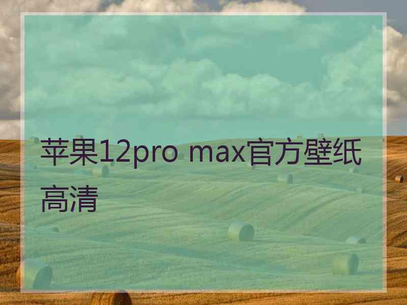 苹果12pro max官方壁纸高清