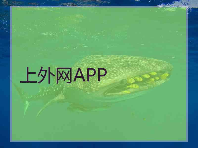 上外网APP