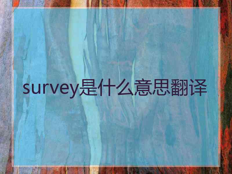 survey是什么意思翻译