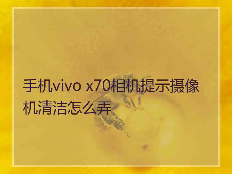 手机vivo x70相机提示摄像机清洁怎么弄