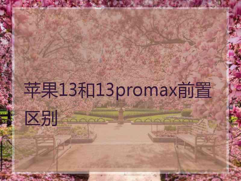 苹果13和13promax前置区别