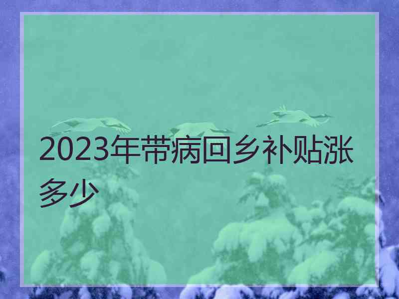 2023年带病回乡补贴涨多少