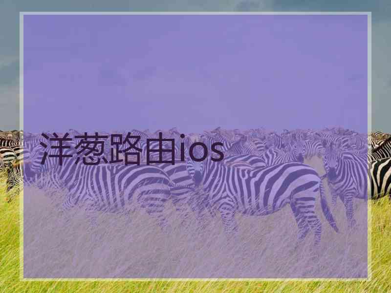 洋葱路由ios