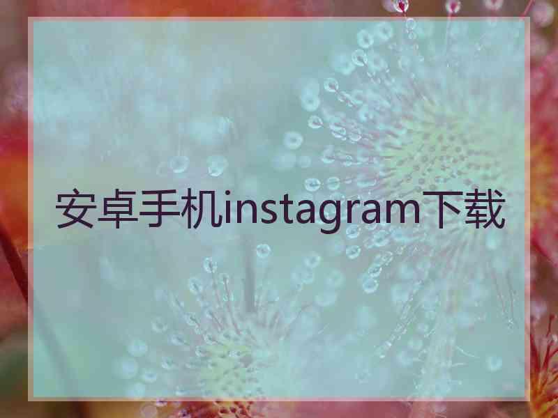 安卓手机instagram下载