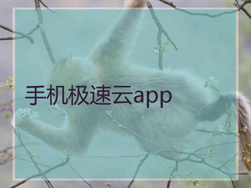 手机极速云app