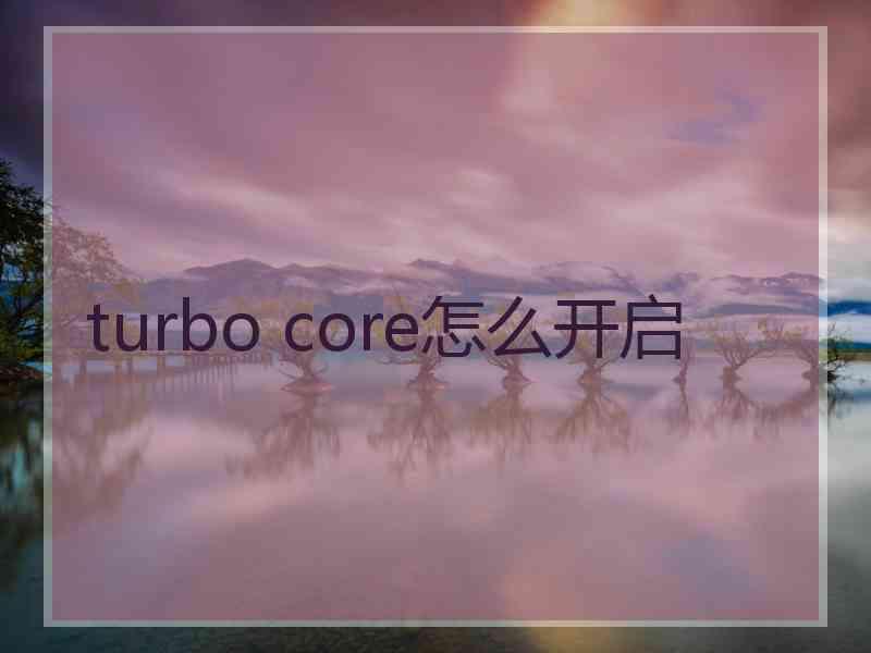 turbo core怎么开启