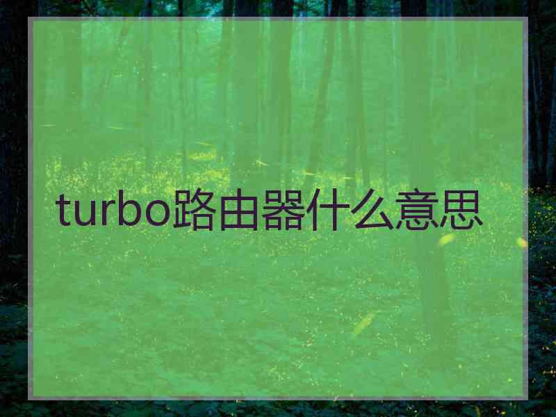 turbo路由器什么意思