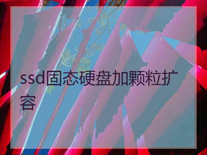 ssd固态硬盘加颗粒扩容