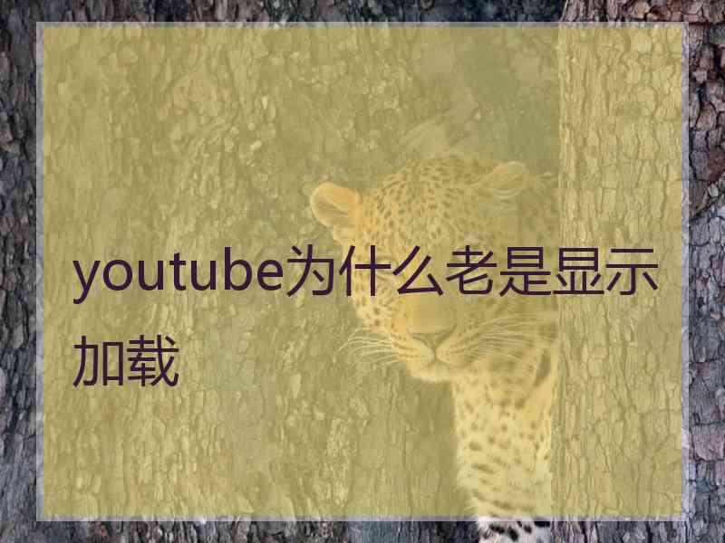 youtube为什么老是显示加载