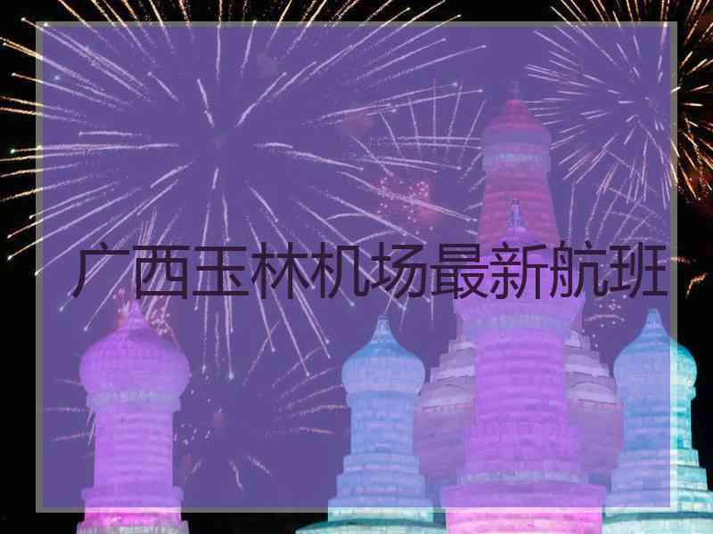 广西玉林机场最新航班