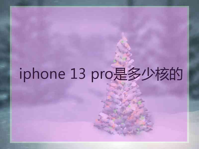 iphone 13 pro是多少核的