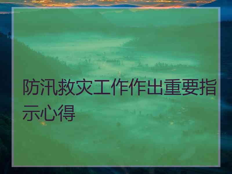 防汛救灾工作作出重要指示心得