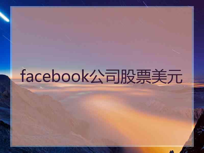 facebook公司股票美元