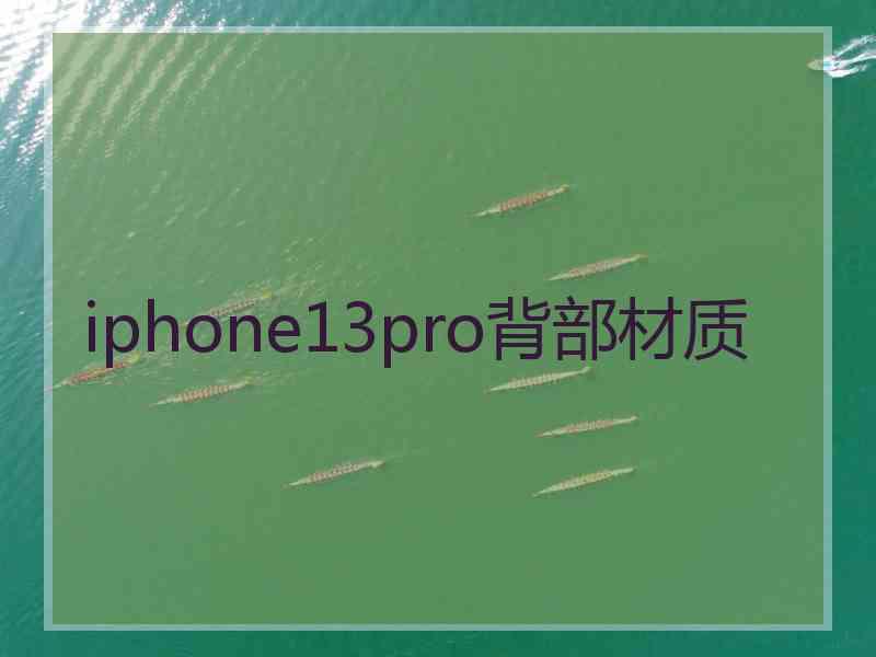 iphone13pro背部材质