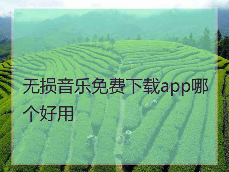 无损音乐免费下载app哪个好用