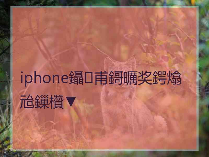 iphone鑷甫鎶曞奖鍔熻兘鏁欑▼