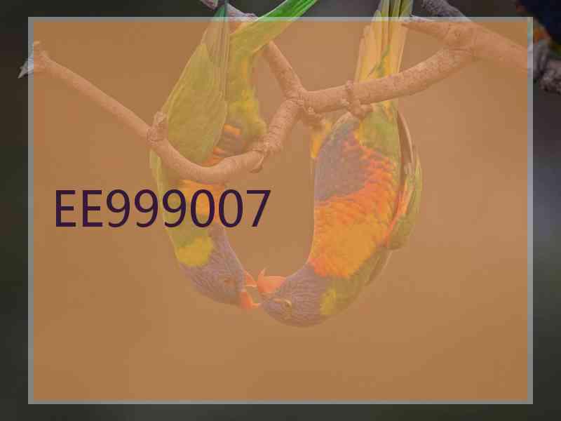 EE999007