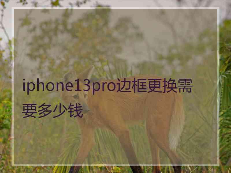 iphone13pro边框更换需要多少钱