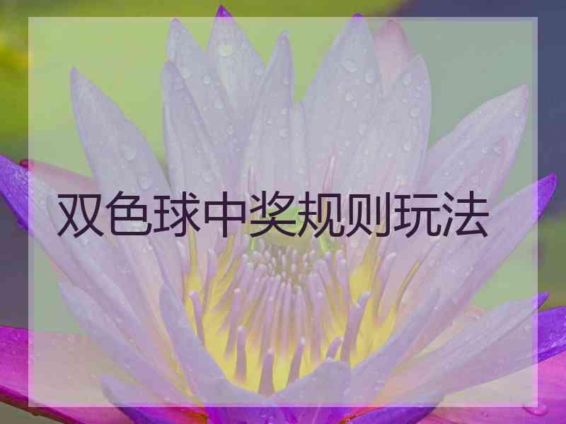 双色球中奖规则玩法