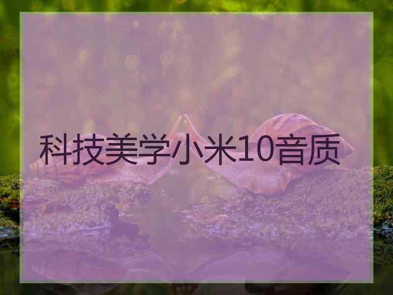 科技美学小米10音质