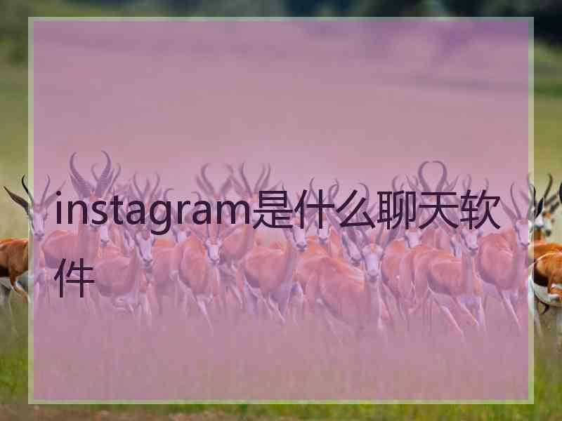 instagram是什么聊天软件