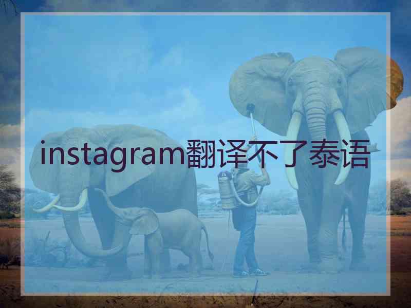 instagram翻译不了泰语