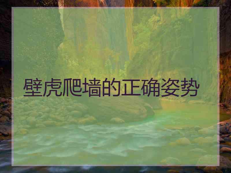 壁虎爬墙的正确姿势