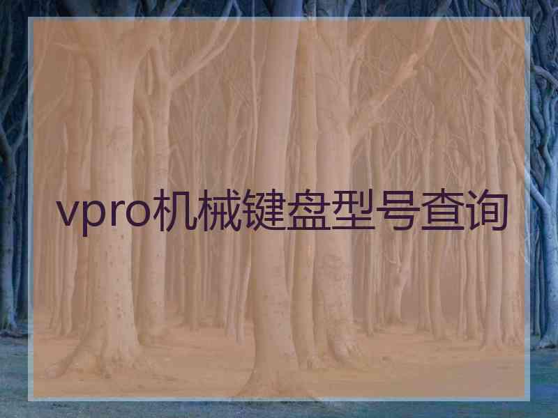 vpro机械键盘型号查询