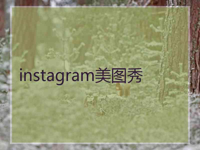 instagram美图秀