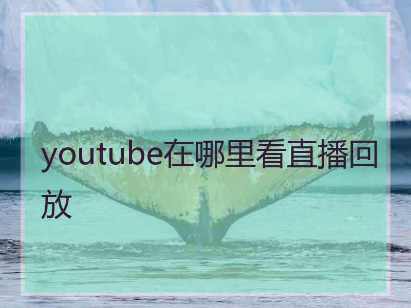 youtube在哪里看直播回放