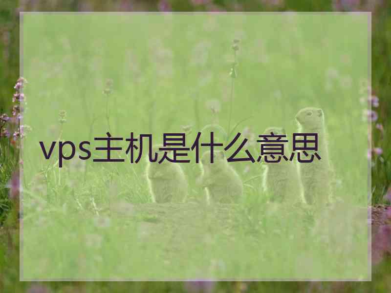 vps主机是什么意思