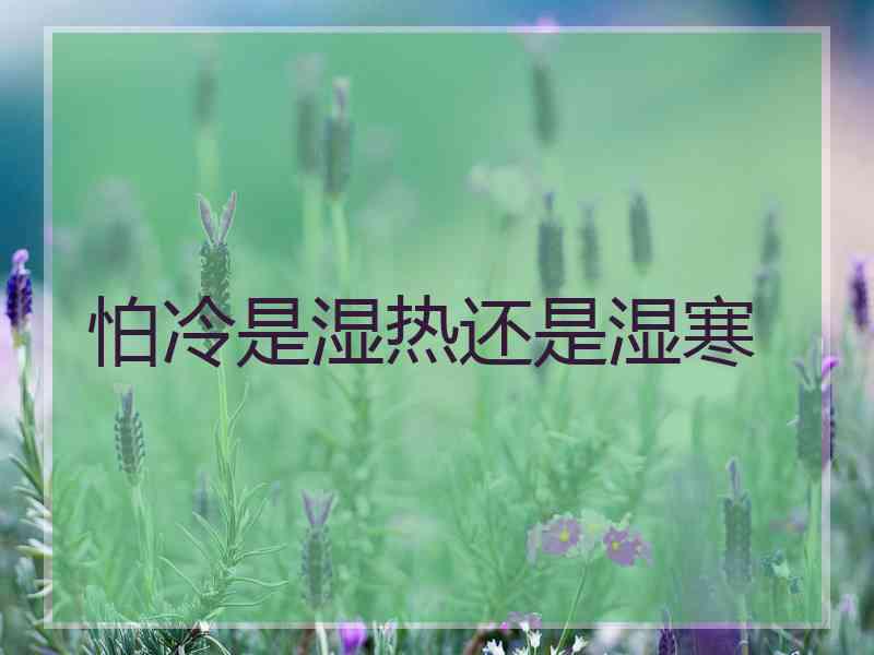 怕冷是湿热还是湿寒