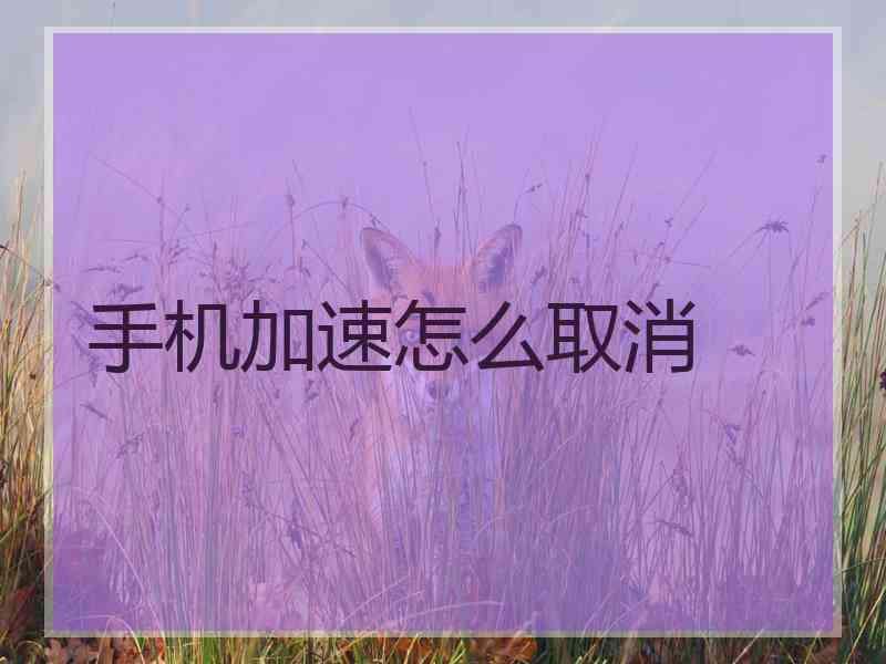 手机加速怎么取消