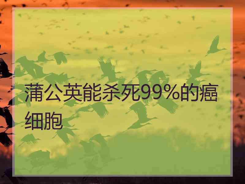 蒲公英能杀死99%的癌细胞