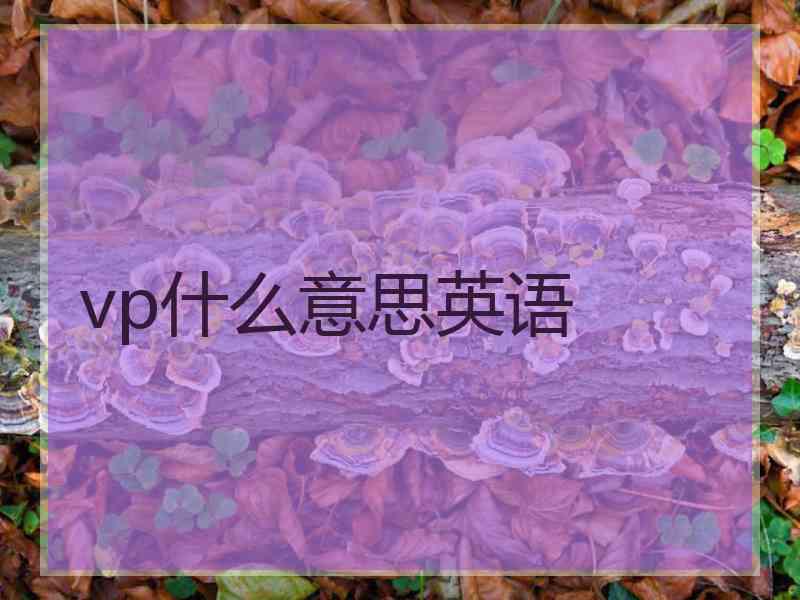 vp什么意思英语