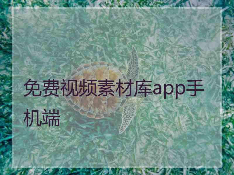 免费视频素材库app手机端