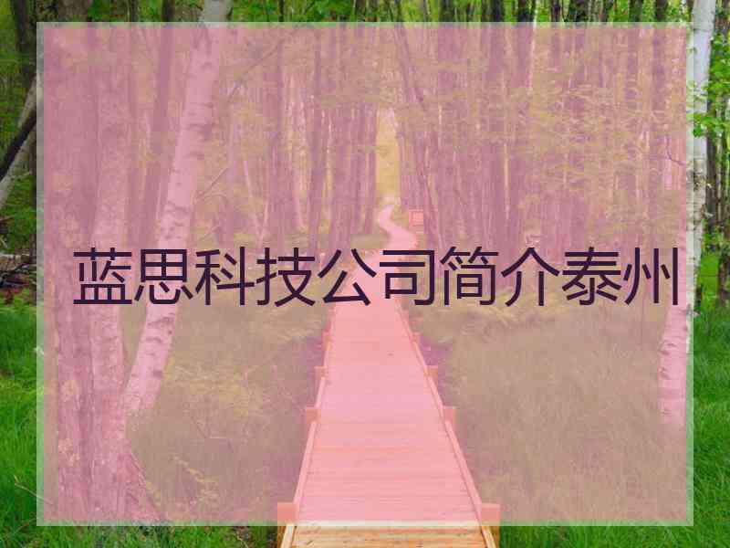 蓝思科技公司简介泰州