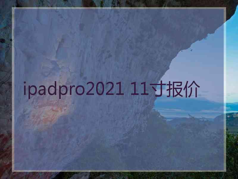 ipadpro2021 11寸报价