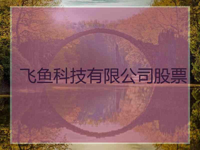 飞鱼科技有限公司股票